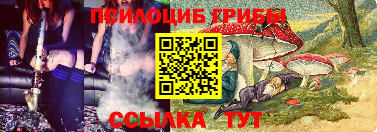 Галлюциногенные грибы Psilocybe  купить наркоту  Ногинск  Вход с VPN 