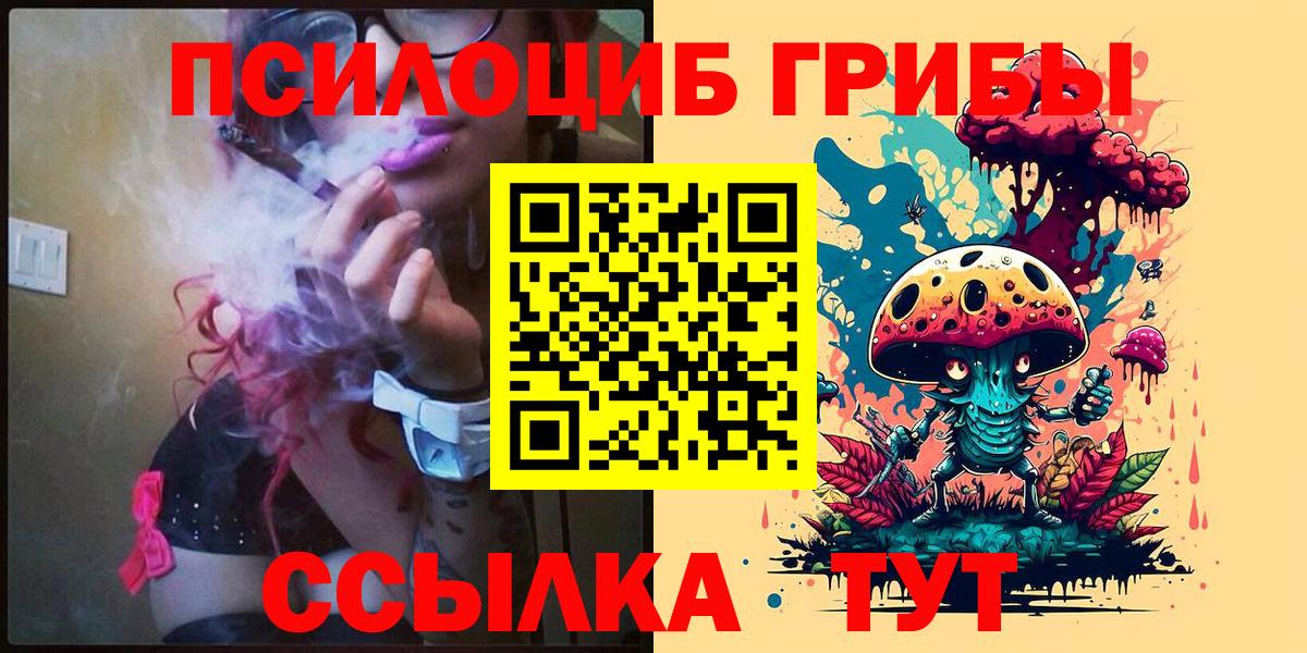 Псилоцибиновые грибы мухоморы Ногинск